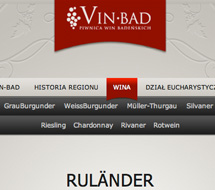 www vinbad